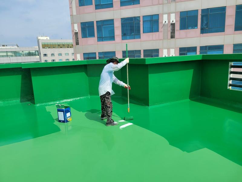 235149625_TKs5gNlG_0405a9138a2e54c09baeeac41bff20c8aec6998f.jpg 이미지크게보기